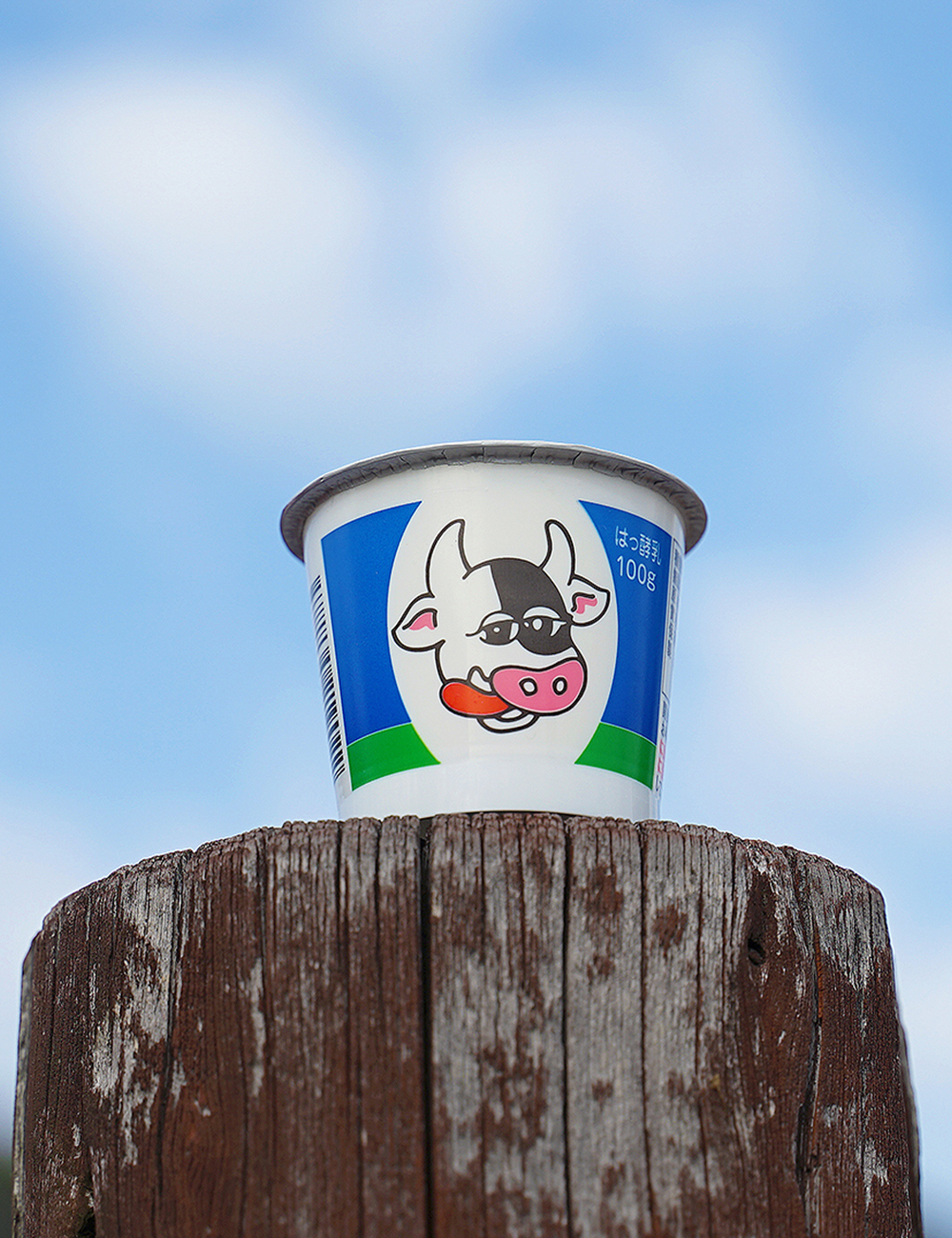 ヨーグルト製造